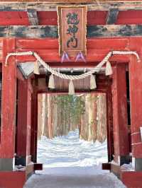 長野戶隱神社雪地徒步，最新遊玩指南～