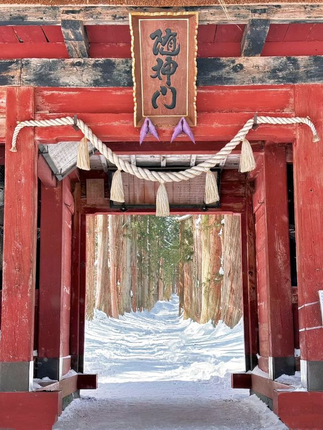 長野戶隱神社雪地徒步，最新遊玩指南～