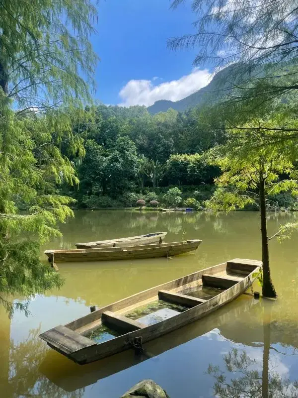🙏弘法寺看這篇就夠了