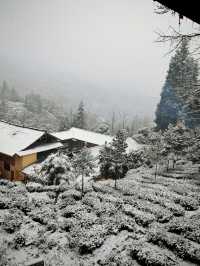 碧峰峽野奢之旅 | 暮雲春樹民宿遇見雪中的冬日戀歌
