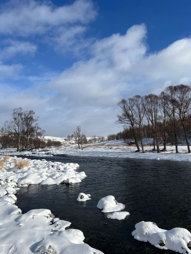 阿爾山不凍河｜美到無法形容的冰雪奶油河