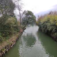 冬日不一樣的西溪湿地公園