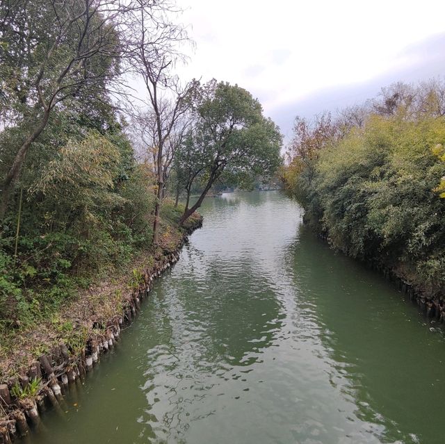 冬日不一樣的西溪湿地公園