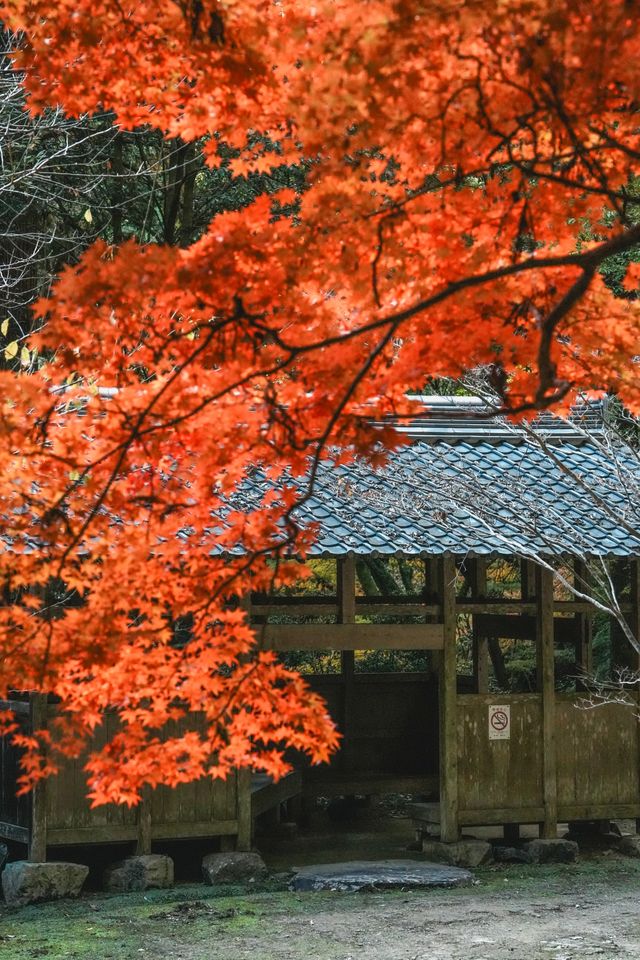 書寫山圓教寺｜一步一景，每一處都藏着故事