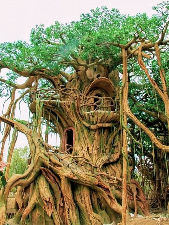 南通森迪部落 | 一站式遛娃寶藏地