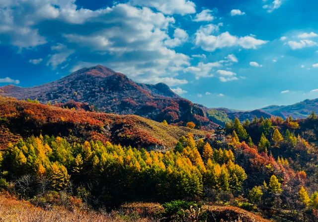 遼陽核伙溝森林公園丨東北小黃山