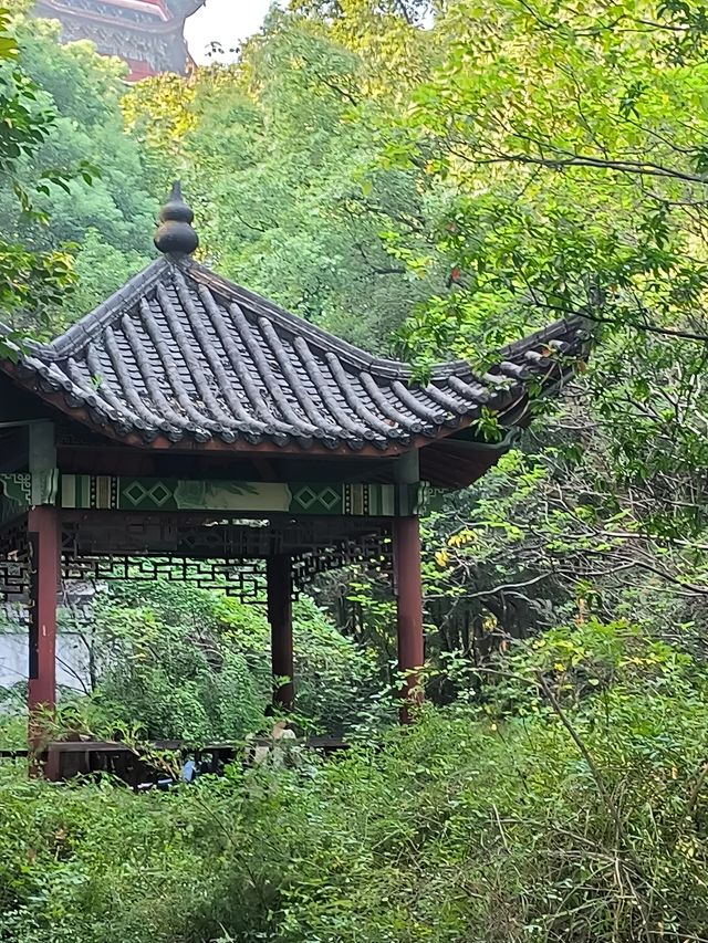 新余抱石公園