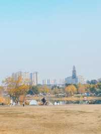 活力滿滿的公園行