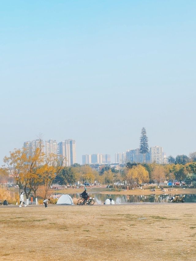 活力滿滿的公園行
