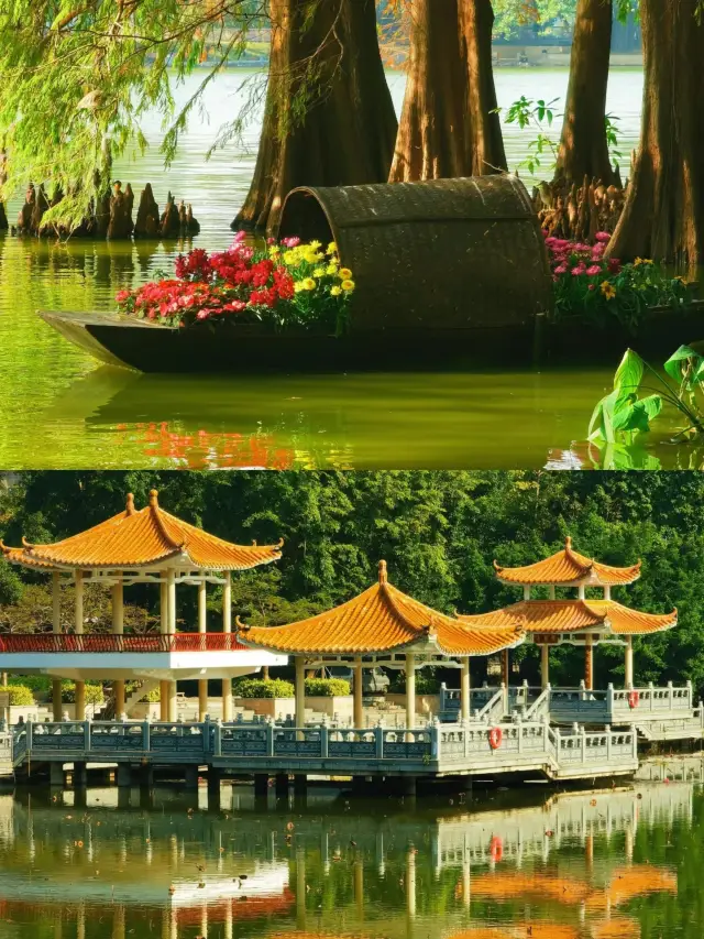 7 km Park Autumn Route: People's Park - Honghu Park