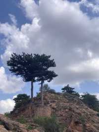 阿拉善-固原-銀川8日深度遊 超詳細攻略來啦