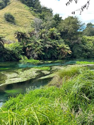 "North Island Blue Spring: The Perfect Guide to Getting Up Close and Personal with Pure Blue" 