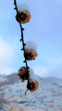 翠雲山銀河滑雪場真的值得一去嗎?