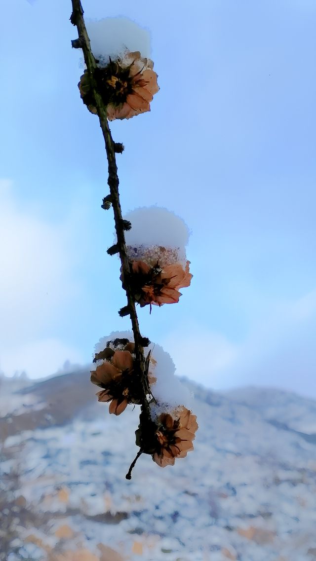 翠雲山銀河滑雪場真的值得一去嗎? 翠雲山銀河滑雪場真的值得一去嗎?