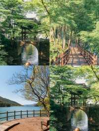 禮山郡：韓韻深處的靜謐瑰寶