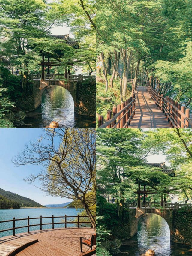禮山郡：韓韻深處的靜謐瑰寶