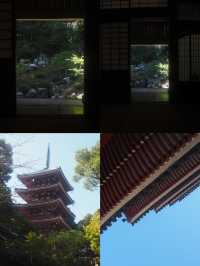 高知市：隱匿在日本的寶藏之地