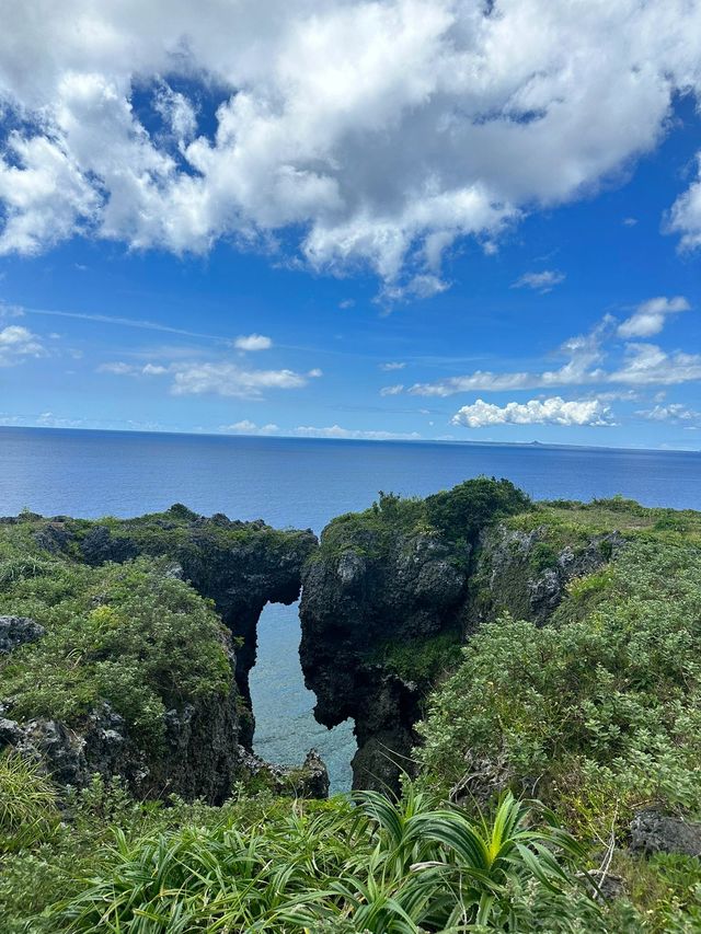 帶你走進日本：5日探秘之旅完整攻略