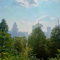"我在桂溪生態公園待了20分鐘，居然發生了這種變化！"