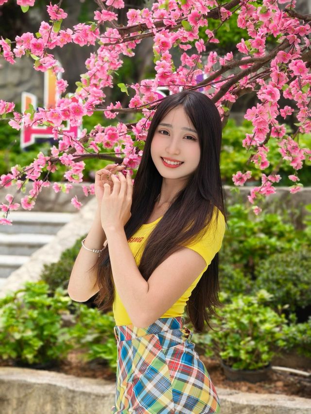 夏日涼爽大作戰