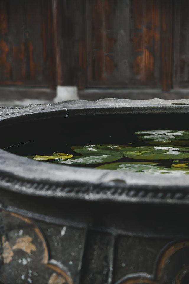 東陽盧宅，為何能被譽為民間故宮