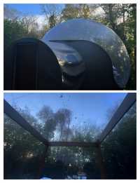 愛爾蘭泡泡屋：在雲端與星辰共舞的夢幻入住體驗