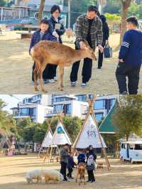 唔好再亂揀啦！開春錯峰遊呢間酒店勁正