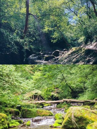 Liupanshan Forest Park, a summer paradise awaits you!
