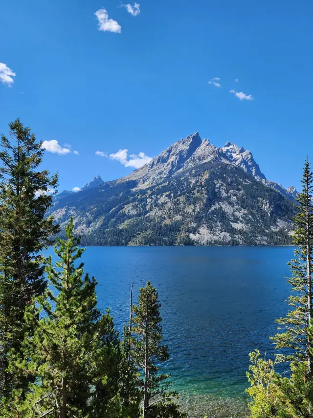 8일 미국 여행 전국을 완벽하게 즐기기