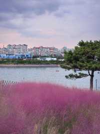 寒假遊青島-威海-煙台 5日深度遊攻略來襲