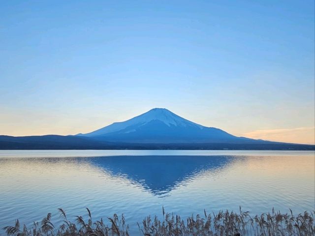 Dreamy Mt. Fuji