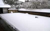 【京都· 龍安寺雪景·2025】