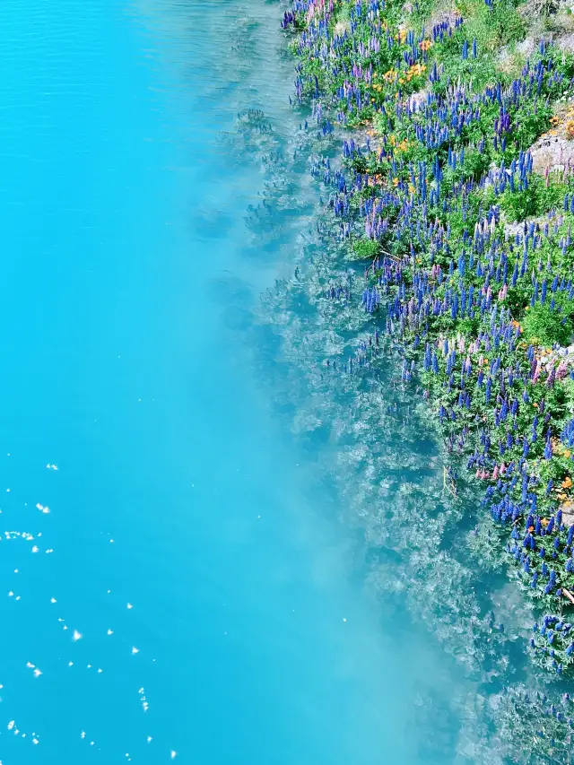 11-Day New Zealand Winter Break Itinerary: A Super Detailed Guide