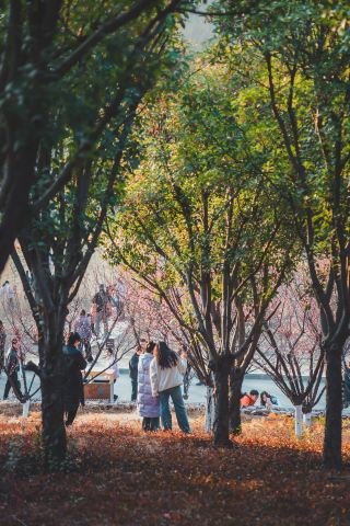 晴雲閣｜鄭州人終於也有了自己的滕王閣！