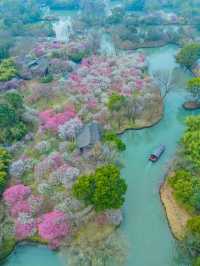 正值杭州及周邊適合週末踏春遊玩