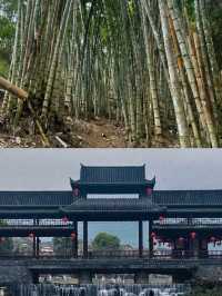 來屏邊旅遊跟著這條路線就對了。