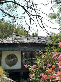 探索梅里達植物園：邂逅尤卡坦的自然奇觀與植物瑰寶！