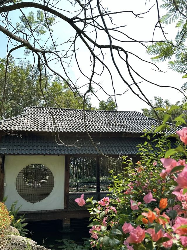 探索梅里達植物園：邂逅尤卡坦的自然奇觀與植物瑰寶！