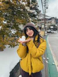 名古屋升龍道5天4夜溫泉之旅