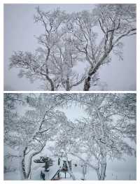 日本北海道二世古，粉雪天堂與霧凇仙境的夢幻奇遇。