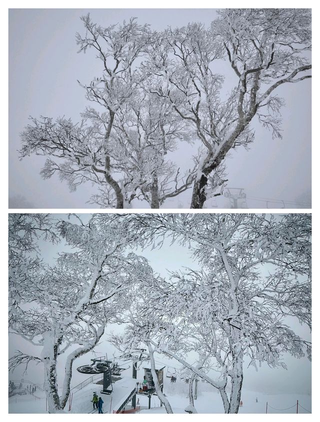 日本北海道二世古，粉雪天堂與霧凇仙境的夢幻奇遇。