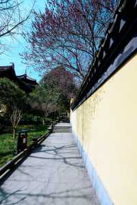 慧英高麗寺