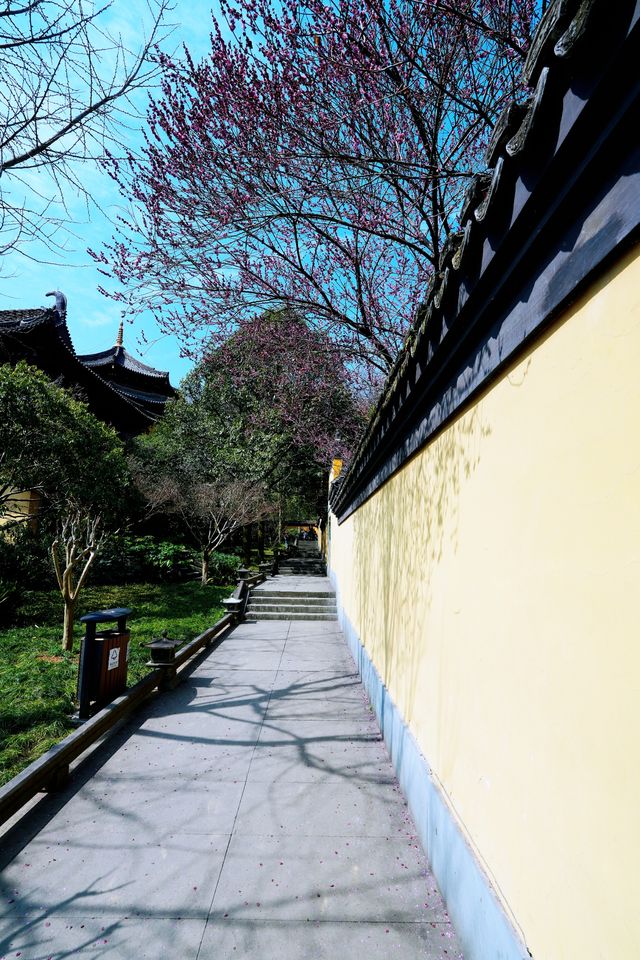 慧英高麗寺