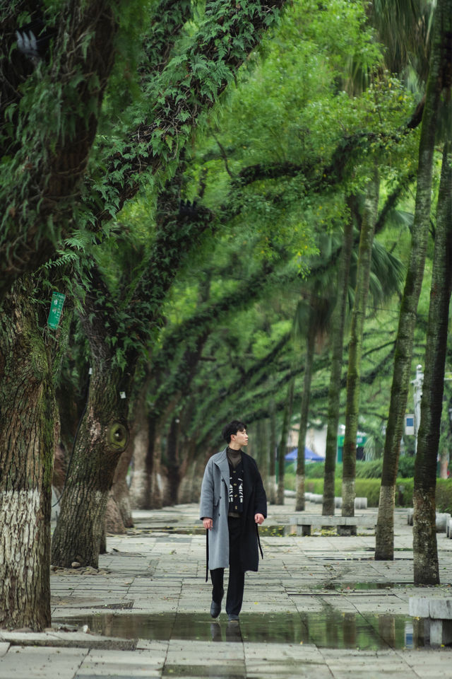 在回桂林，拍到了迄今為止我最喜歡的一條路