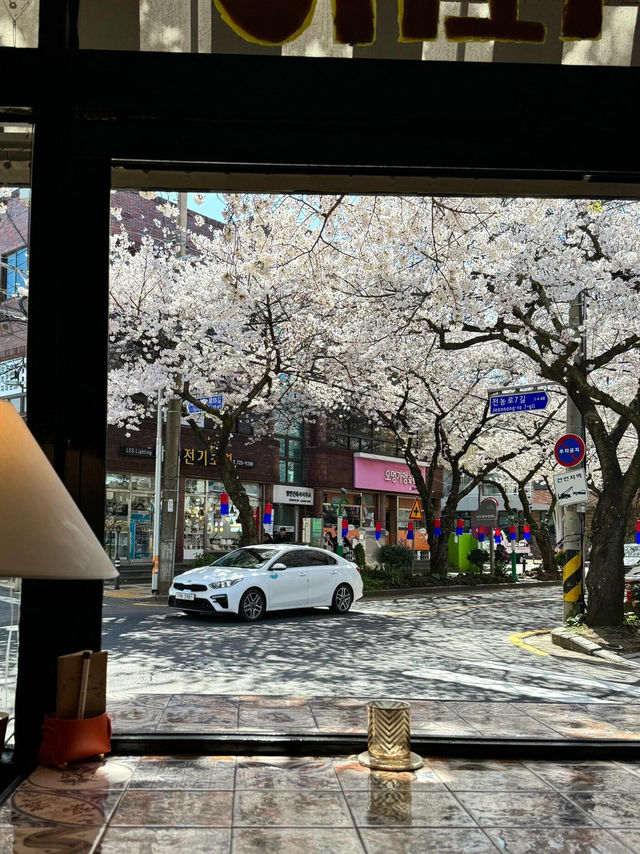 🌸濟州島 | 浪漫爆棚，櫻花已全開