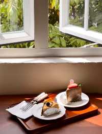 這家咖啡店真的能治癒人心！