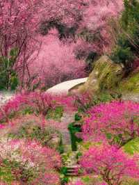 原來陶淵明筆下的《桃花源記》是真實存在的