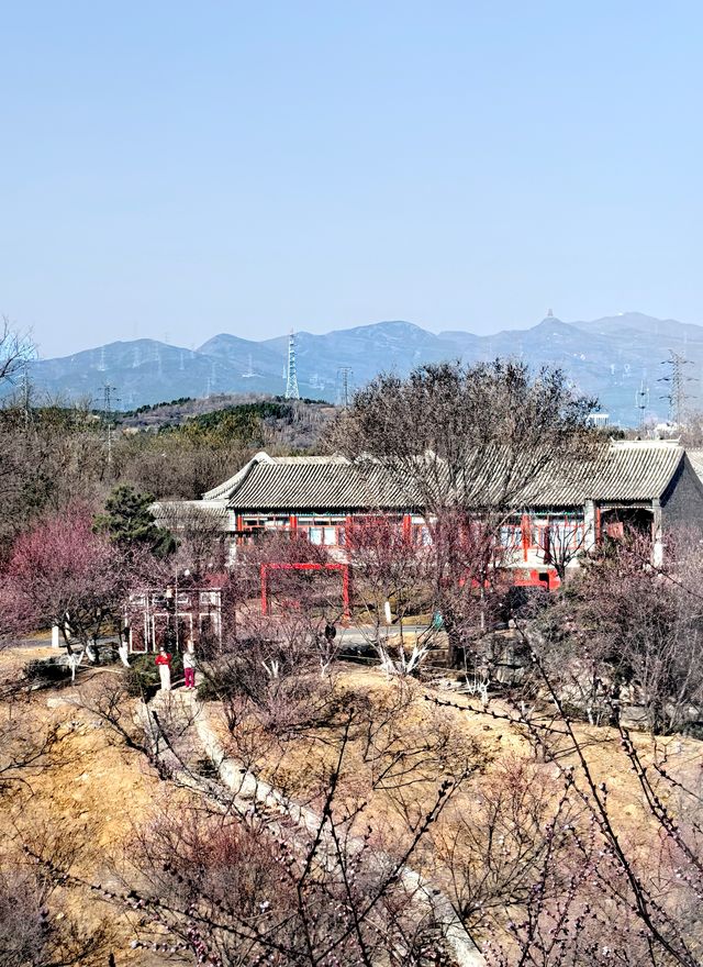 園博園春曉