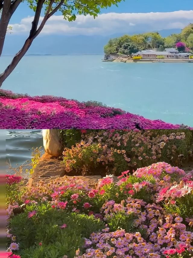 以為雲南只有夏季先好睇，點知 3 - 4 月靚到爆😍