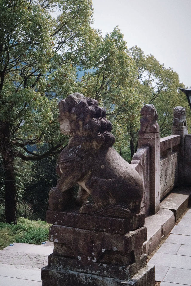義烏雲黃禪寺/超適合放空自己的寶藏地方